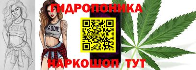 гидропоника Изобильный