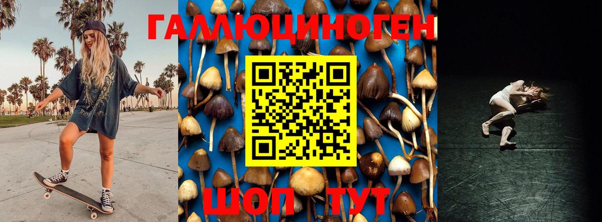 Псилоцибиновые грибы Psilocybine cubensis  Вход с VPN  Галлюциногенные грибы Cubensis  Магадан 