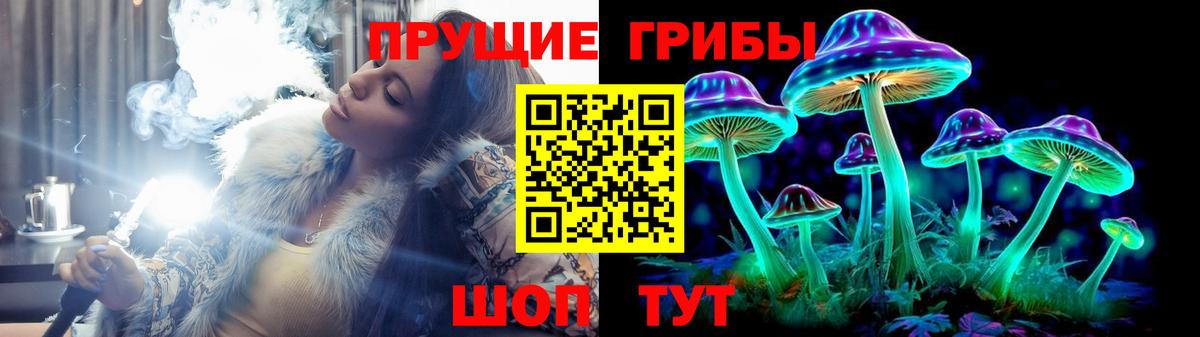 Псилоцибиновые грибы GOLDEN TEACHER Магадан