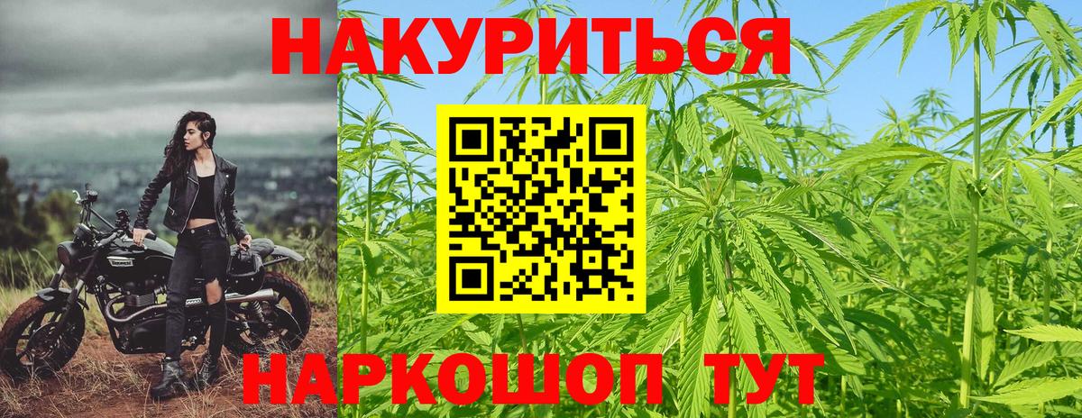 Бошки Шишки SATIVA & INDICA  Вход с VPN  Магадан  Шишки марихуана план 